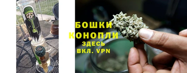 шишки Богородицк