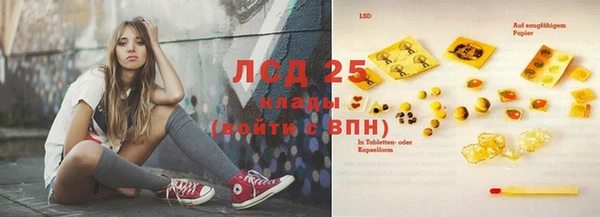 прущий лед Бородино