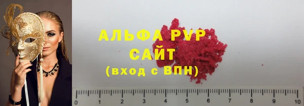 гашик Богданович