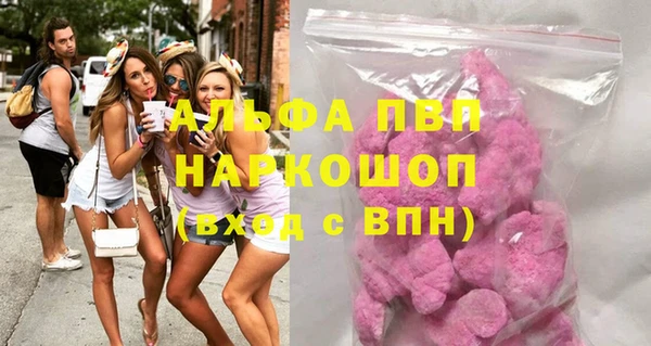 шишки Богородицк