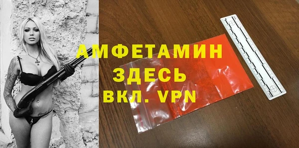 гашик Богданович
