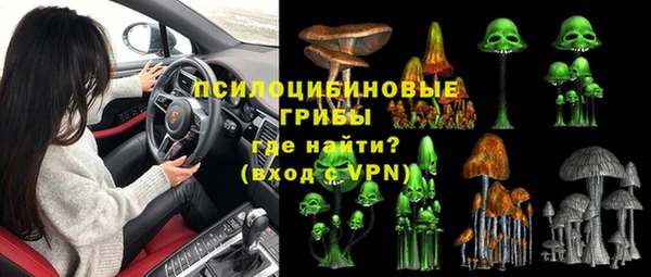 гашик Богданович