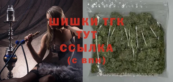 шишки Богородицк