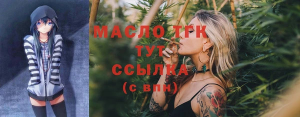 прущий лед Бородино
