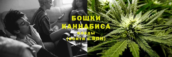 шишки Богородицк
