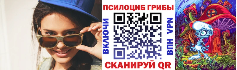 дарнет шоп Вытегра omg Галлюциногенные грибы мухоморы